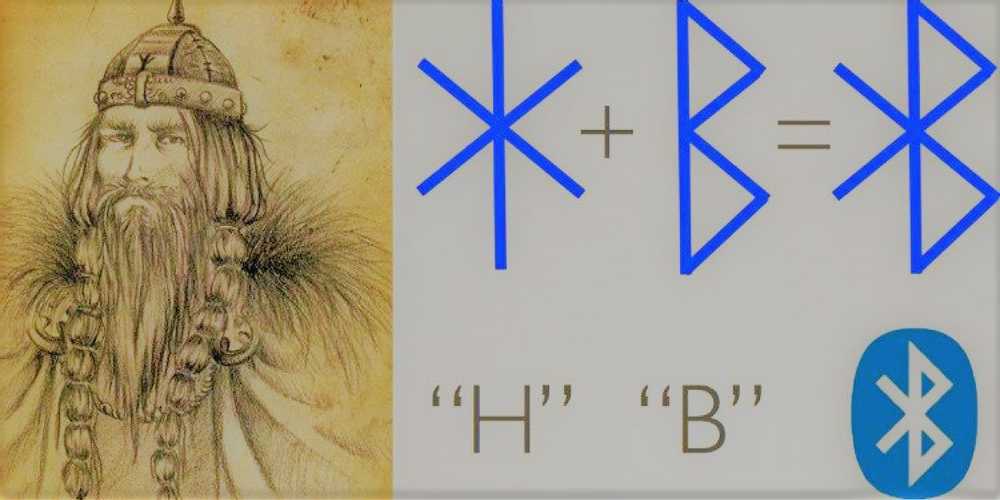 52757240 2311106379120013 5238784551114768384 o